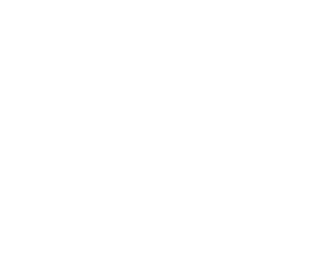 Logo_GevoX.pl_stopka