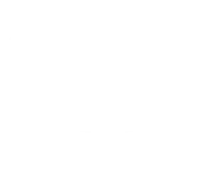 Logo_GevoX.pl_stopka